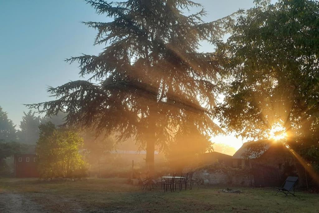 Gite En Bord De Loire Blaison-Saint-Sulpice المظهر الخارجي الصورة