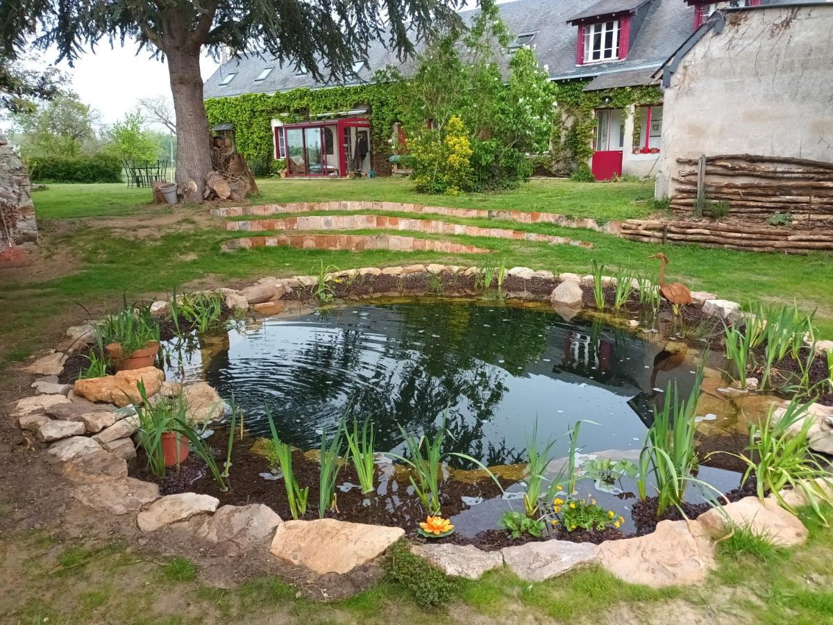 Gite En Bord De Loire Blaison-Saint-Sulpice المظهر الخارجي الصورة